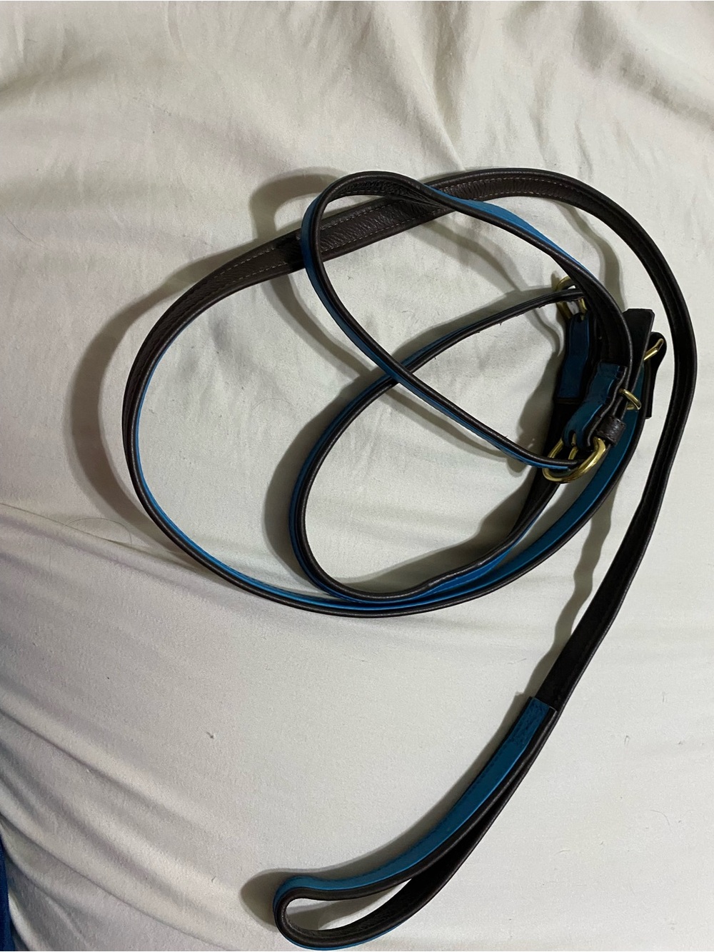 Two collars and one Classic Leather Dog Leash with Blue Edge Trim